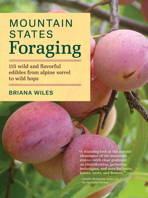 cover image of Mountain States Foraging